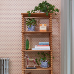 Bespoke Bobbin Bookcases and Shelving